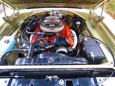 IMG_5628.JPG IMG_5628.JPG