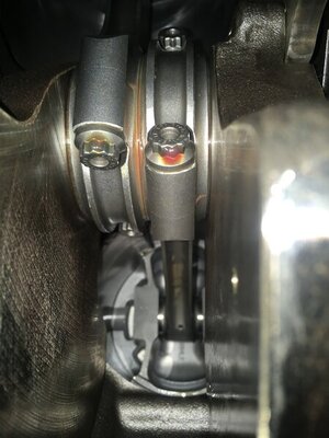 2676438C-C2AF-44C2-8786-34B446E60B9D.jpeg 2676438C-C2AF-44C2-8786-34B446E60B9D.jpeg