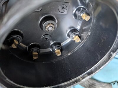 PXL_20211210_120752255.jpg PXL_20211210_120752255.jpg