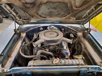 received_377275114199032.jpeg received_377275114199032.jpeg