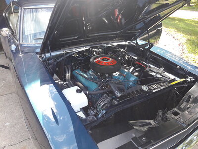 20171006_114935.jpg 20171006_114935.jpg