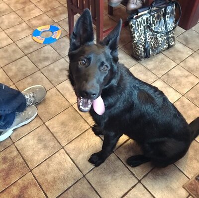 1272018iphone 252.JPG