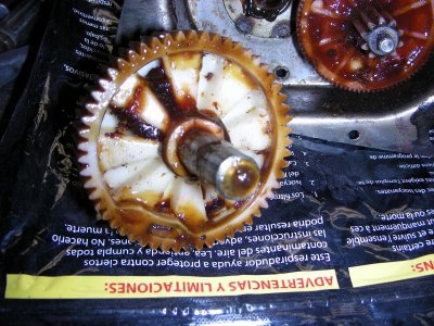 DSCN6929.jpg DSCN6929.jpg