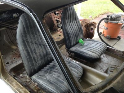 IMG_mabel.jpg IMG_mabel.jpg