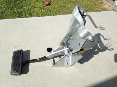 IMG_9395.jpg IMG_9395.jpg