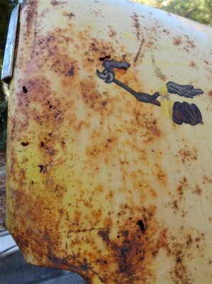 70 fender front rust (Large).JPG