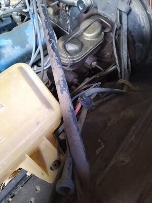 IMG_20220104_130953789.jpg IMG_20220104_130953789.jpg