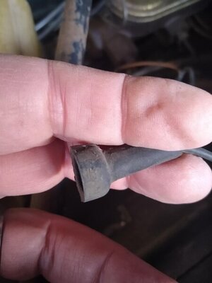 IMG_20220112_082903306.jpg IMG_20220112_082903306.jpg