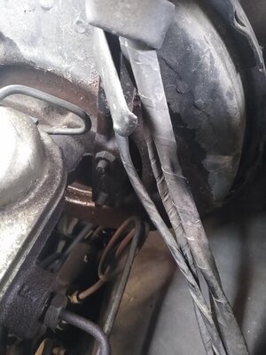 IMG_20220112_083255797.jpg IMG_20220112_083255797.jpg