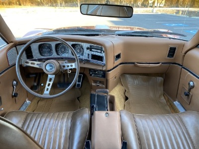 1974_amc_javelin_1578873223d208495dIMG_0979.jpg