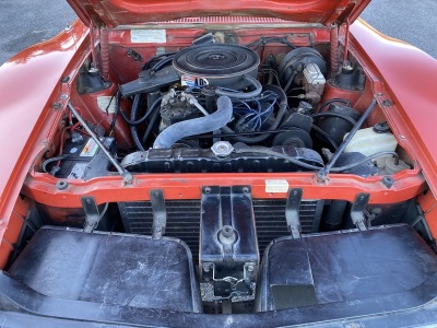 1974_amc_javelin_1578873201208495d56IMG_0986.jpg