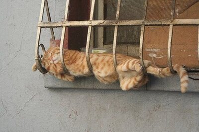 NapTime06.jpg