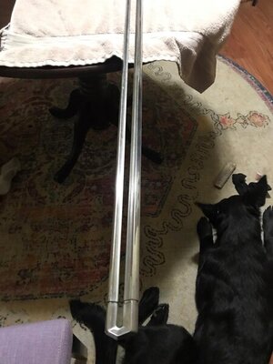 Ps Rear Qtr Trim 01.jpg