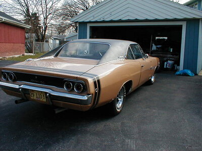 goldie.JPG goldie.JPG