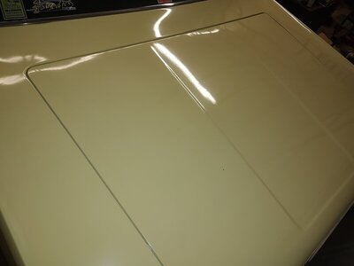 IMG_20220123_144901978.jpg IMG_20220123_144901978.jpg