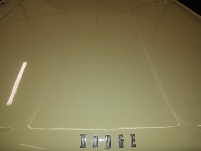 IMG_20220123_144938156.jpg IMG_20220123_144938156.jpg