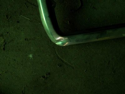 100_5771.jpg