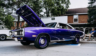 BEE MARMORA 222.jpg BEE MARMORA 222.jpg