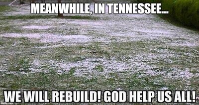 blizzard-meme-2-8f348fac853e5f22.jpg blizzard-meme-2-8f348fac853e5f22.jpg