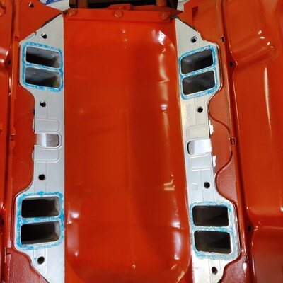 IMG_20220201_193631.jpg IMG_20220201_193631.jpg