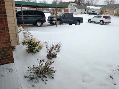 IMG_20220203_111951001_HDR.jpg IMG_20220203_111951001_HDR.jpg