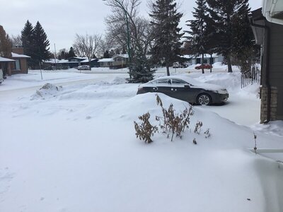 48DB1A3B-D29A-4984-9D66-624C40483821.jpeg 48DB1A3B-D29A-4984-9D66-624C40483821.jpeg