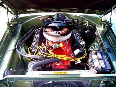 00 butchyboy4 69 Coronet b.jpg