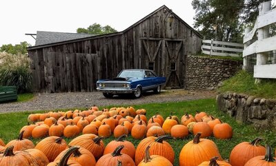 Mopars (81).jpg