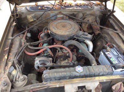 engbay1.JPG engbay1.JPG