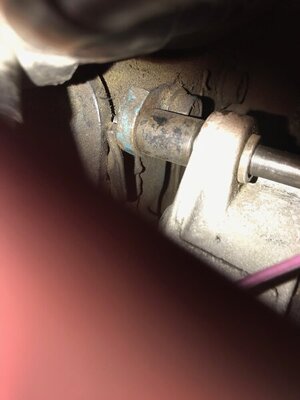 IMG_3020.jpg IMG_3020.jpg