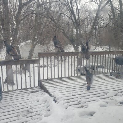 20220218_121033.jpg 20220218_121033.jpg