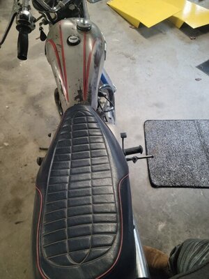 Resized_20220224_125636(1).jpeg Resized_20220224_125636(1).jpeg