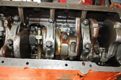 DSC_8790.jpg DSC_8790.jpg