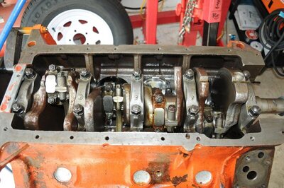 DSC_8791.jpg DSC_8791.jpg