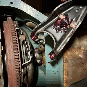 6CD238A7-7BF3-4C9A-B06B-B848B3CBC763.jpeg 6CD238A7-7BF3-4C9A-B06B-B848B3CBC763.jpeg