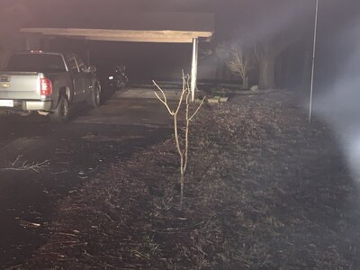 0E9E1F71-CA93-4320-98DC-84EE3281DA4D.jpeg 0E9E1F71-CA93-4320-98DC-84EE3281DA4D.jpeg