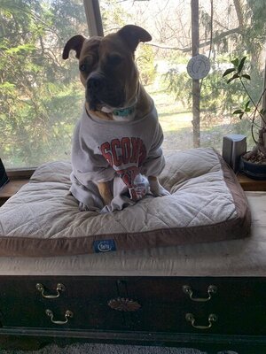 1C26C5C2-D735-447E-92EC-6DE7C93D100B.jpeg 1C26C5C2-D735-447E-92EC-6DE7C93D100B.jpeg