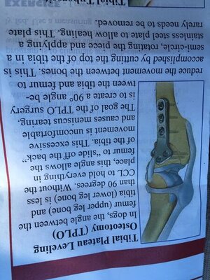 7B49323D-3265-4D28-811C-4C2C7D1BA6CB.jpeg 7B49323D-3265-4D28-811C-4C2C7D1BA6CB.jpeg