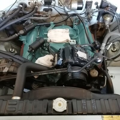 IMG_20210704_160252.jpg IMG_20210704_160252.jpg