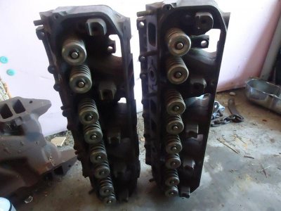 516heads2.jpg 516heads2.jpg