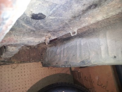 sm_trunkext.jpg sm_trunkext.jpg