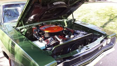 00 '69BeeSting 69Bee g.jpg