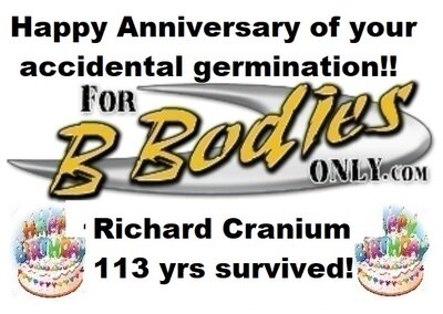 ******** happy birthday.jpg