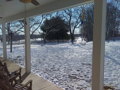 20220313_093123.jpg 20220313_093123.jpg