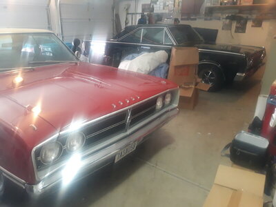 20220312_122646.jpg 20220312_122646.jpg