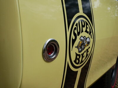 D6295ABC-092E-480E-A696-0D1C57969F12.jpeg D6295ABC-092E-480E-A696-0D1C57969F12.jpeg