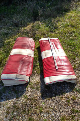 IMG_20220310_1455088.jpg IMG_20220310_1455088.jpg