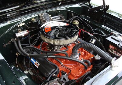 00 krzeminski.3 66coro440 d.jpg