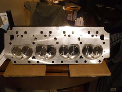 DSCF1771 (1).JPG DSCF1771 (1).JPG