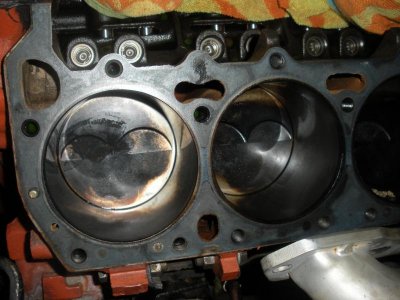 DSCN1874.jpg